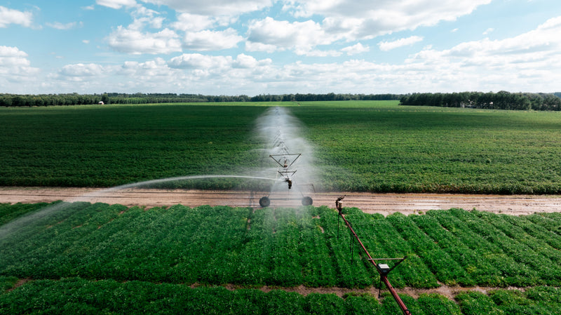 Agriculture and Irrigation